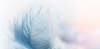 Co to jest platforma w internecie? Co to jest platforma w internecie?