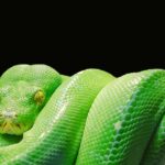 Jak uruchomić kod w Python? Jak uruchomić kod w Python?