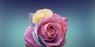 Ile kosztuje fabryka siły?