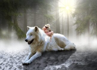 Czy GIMP jest dobry do rysowania? Czy GIMP jest dobry do rysowania?