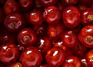 Gdzie najlepiej obrabiać zdjęcia? Gdzie najlepiej obrabiać zdjęcia?