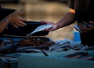 Jak sprzedawać w internecie za darmo? Jak sprzedawać w internecie za darmo?