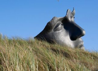 Jak się uspokoić psychicznie? Jak się uspokoić psychicznie?