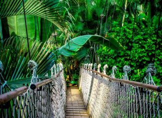 Czy kursy z Udemy w CV?