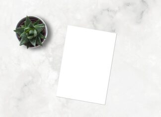 Jak zrobić portfolio jako grafik? Jak zrobić portfolio jako grafik?