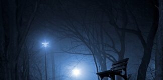 Czy Polska ma niskie podatki? Czy Polska ma niskie podatki?