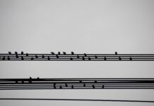 Jak napisać podsumowanie projektu? Jak napisać podsumowanie projektu?