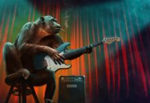 Jakie są cztery etapy podstawowego cyklu życia projektu? Jakie są cztery etapy podstawowego cyklu życia projektu?