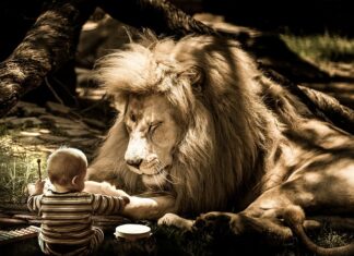 Co zrobić żeby się nie denerwować? Co zrobić żeby się nie denerwować?